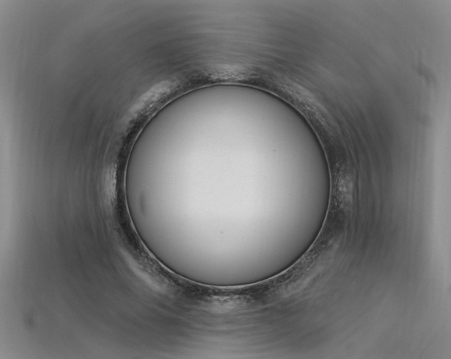 X0000115850686200911131552