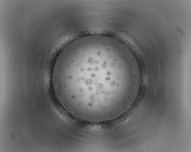 X0000115850687200911131552