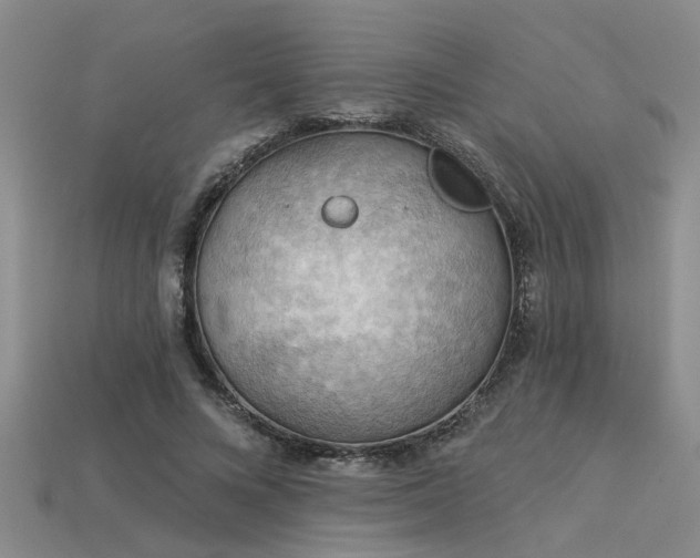 X0000115850688200911131552
