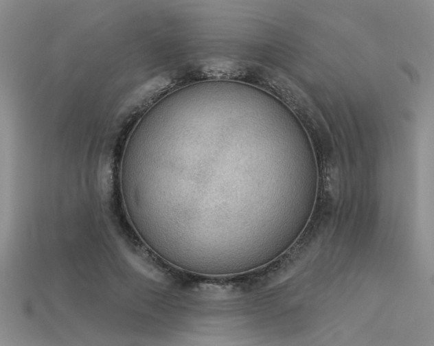 X0000115850690200911131552
