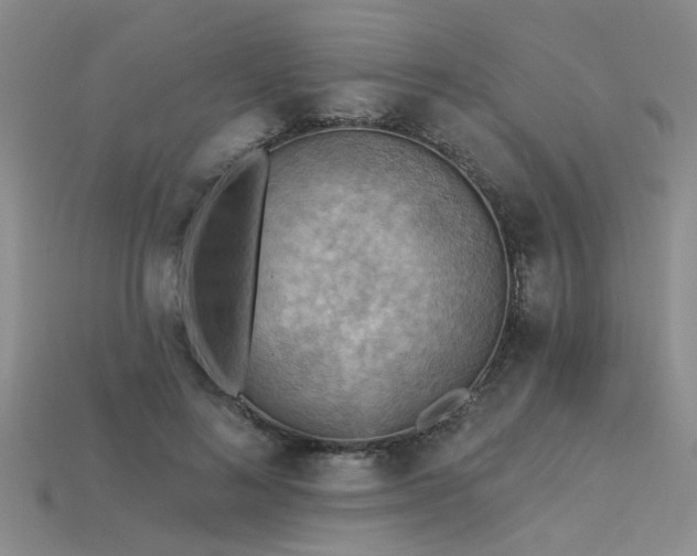X0000115850692200911131552