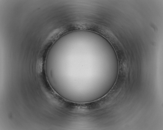 X0000115850694200911131552