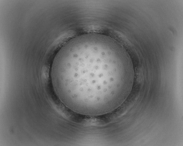 X0000115850695200911131552