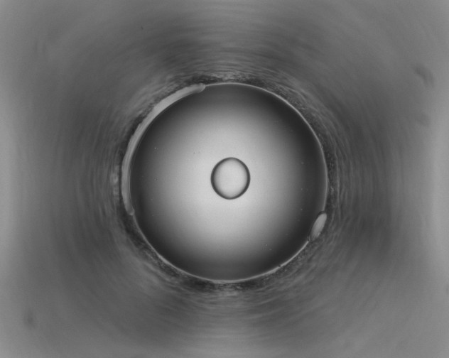 X0000115850696200911131552