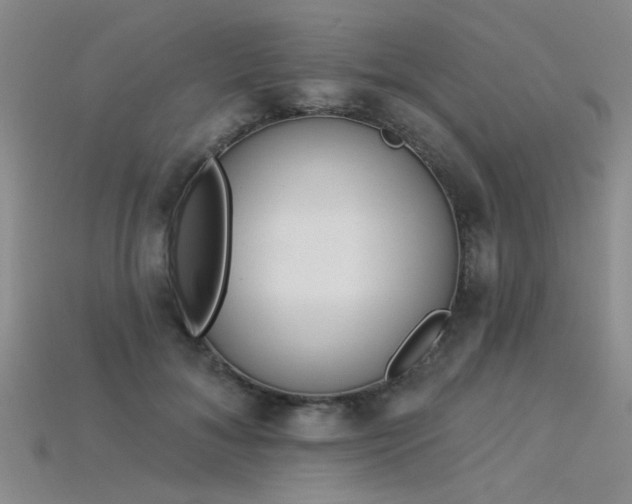 X0000115850700200911131552