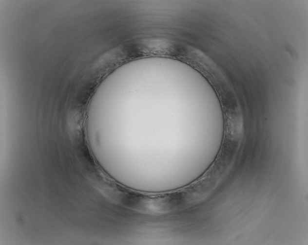 X0000115850701200911131552