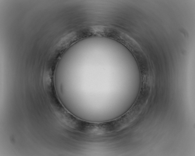 X0000115850702200911131552