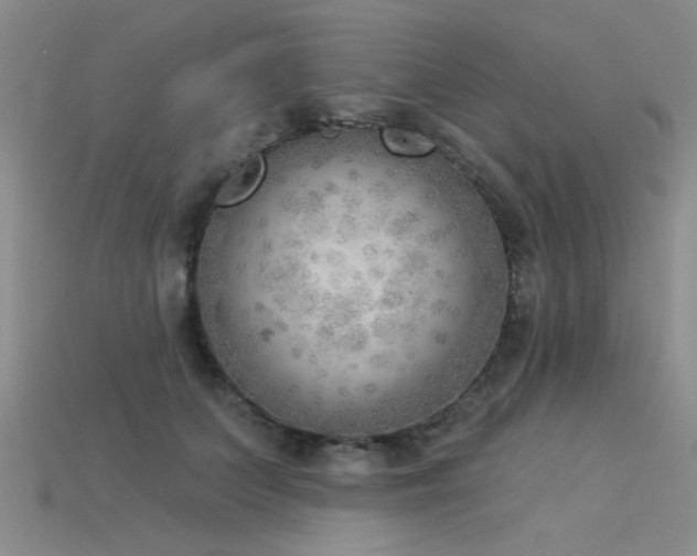 X0000115850703200911131552
