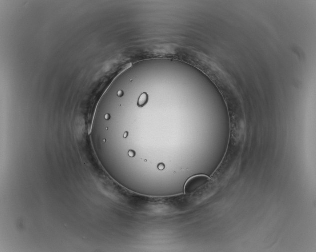 X0000115850704200911131552