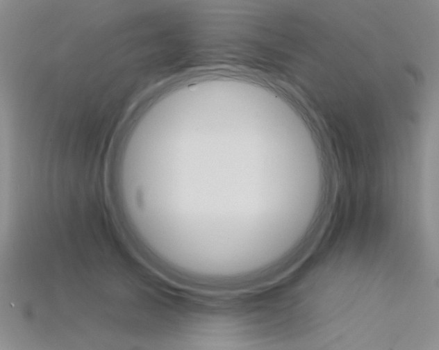X0000115850705200911131552