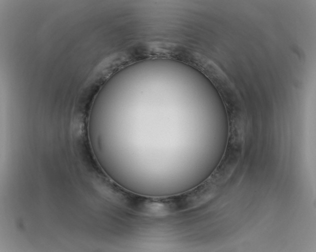 X0000115850706200911131552