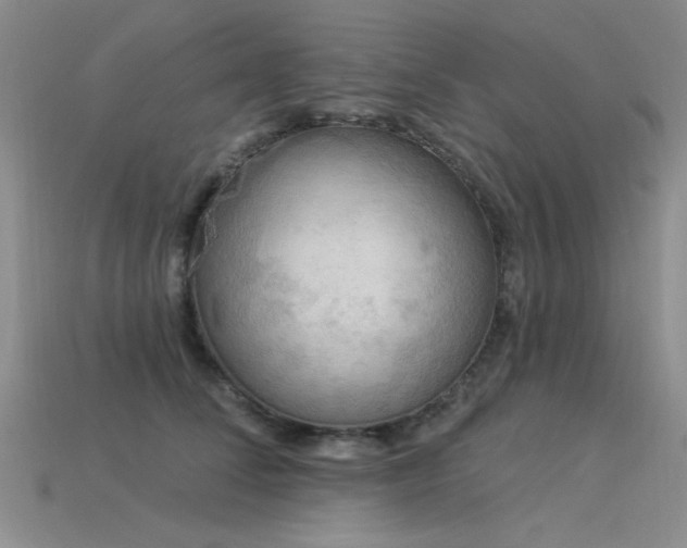 X0000115850708200911131552