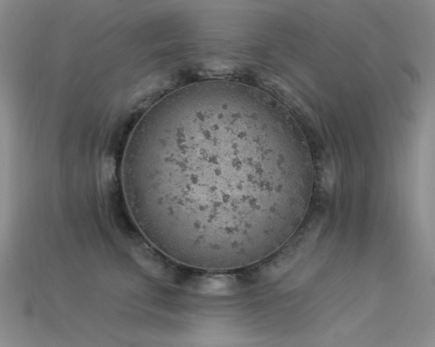 X0000115850711200911131551