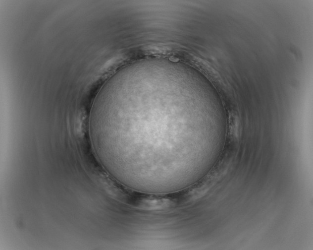 X0000115850712200911131551