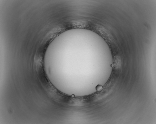 X0000115850713200911131551