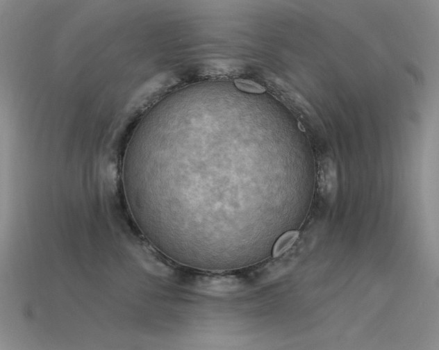 X0000115850716200911131551