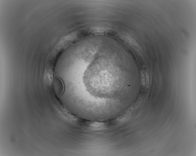 X0000115850718200911131551