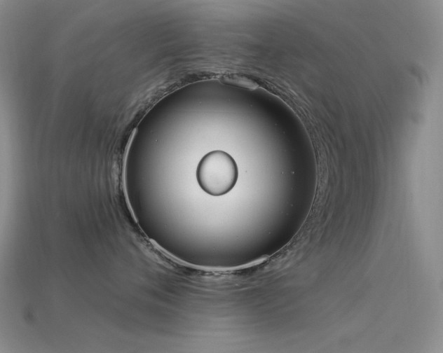 X0000115850720200911131551