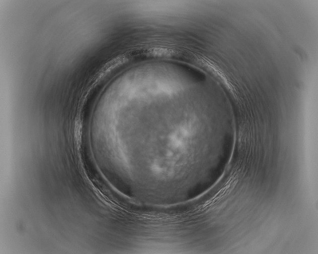 X0000115850722200911131551