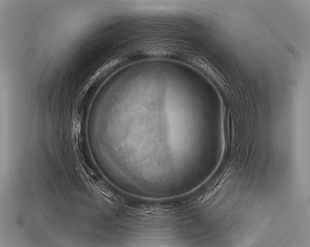 X0000115850723200911131551