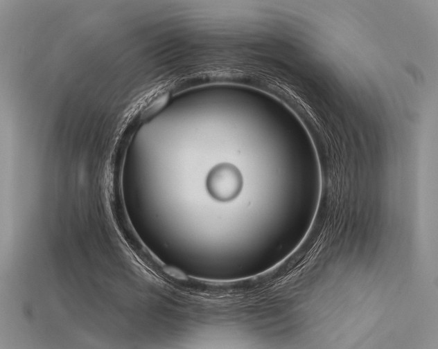 X0000115850725200911131551