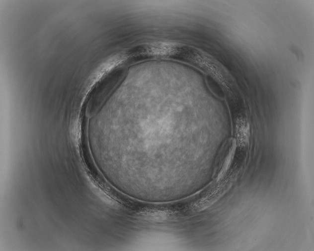 X0000115850726200911131551