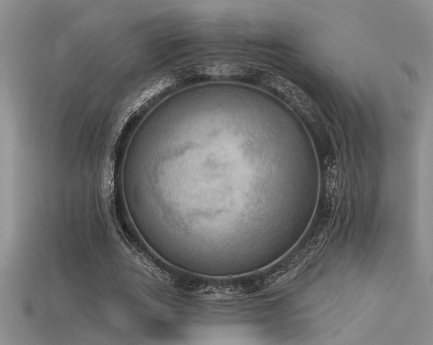 X0000115850727200911131551