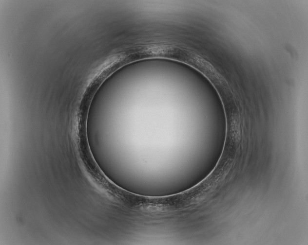 X0000115850730200911131551