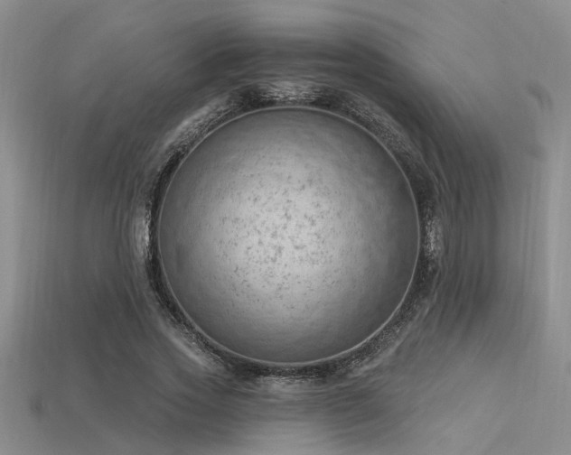 X0000115850733200911131551