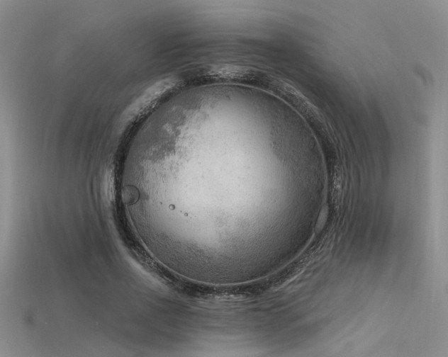 X0000115850734200911131551