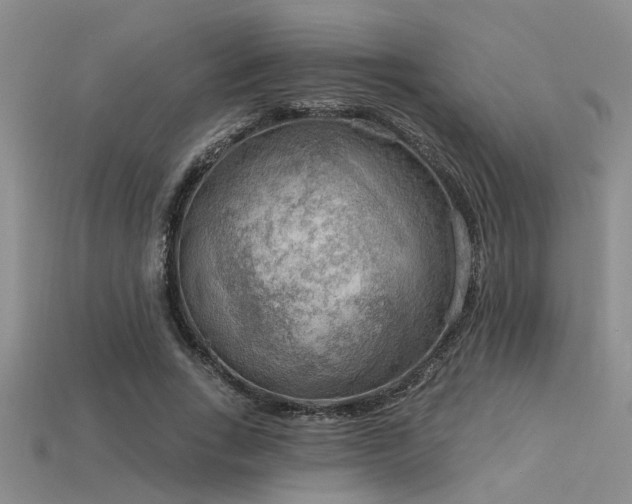 X0000115850735200911131551