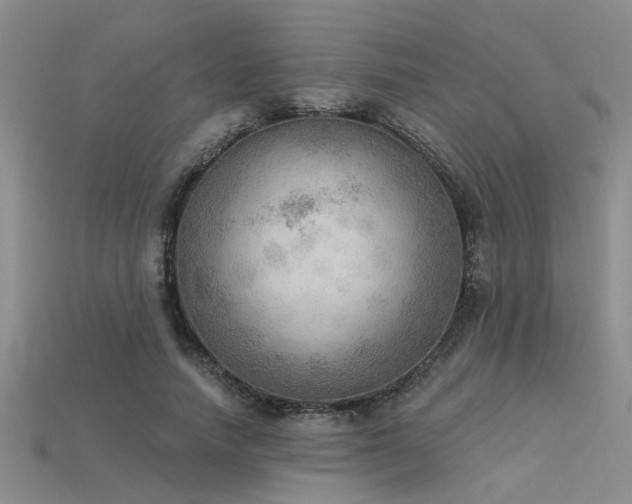 X0000115850738200911131551