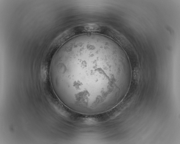 X0000115850741200911131551