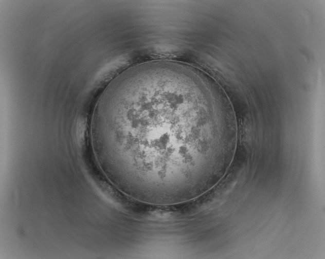 X0000115850742200911131551