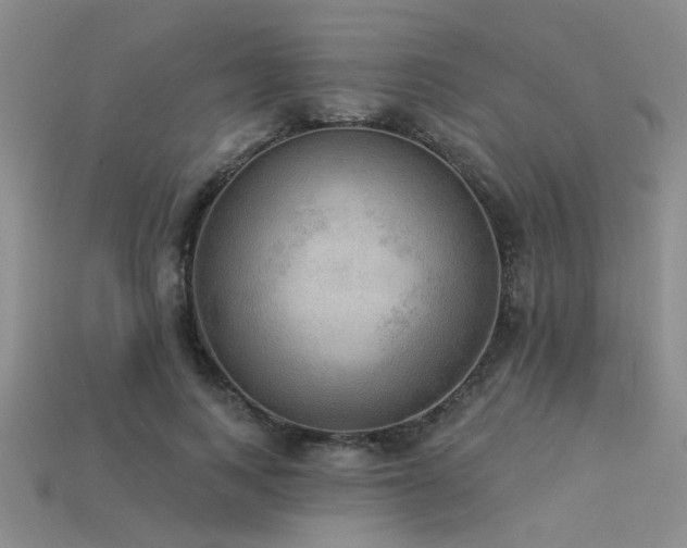 X0000115850743200911131551