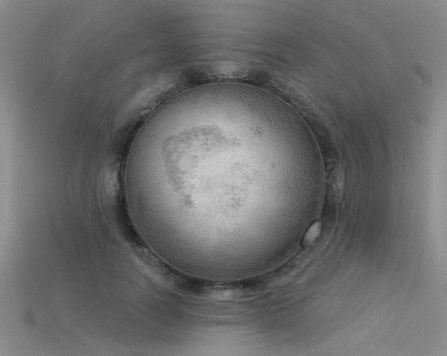 X0000115850746200911131551