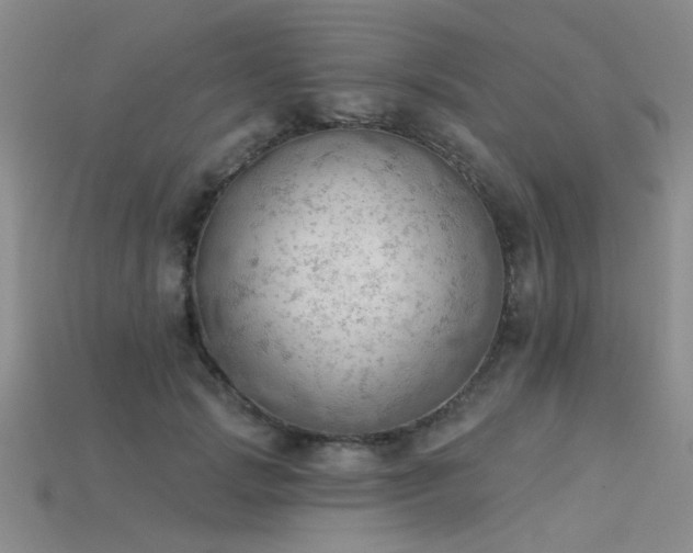 X0000115850749200911131551