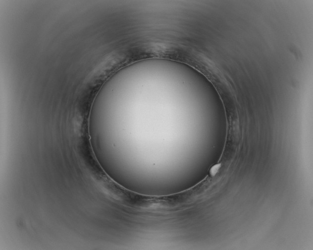 X0000115850750200911131551