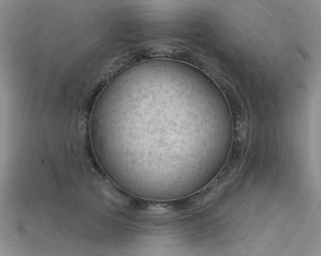 X0000115850753200911131551