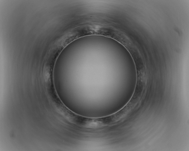 X0000115850754200911131551