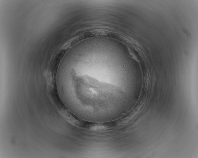 X0000115850759200911131551