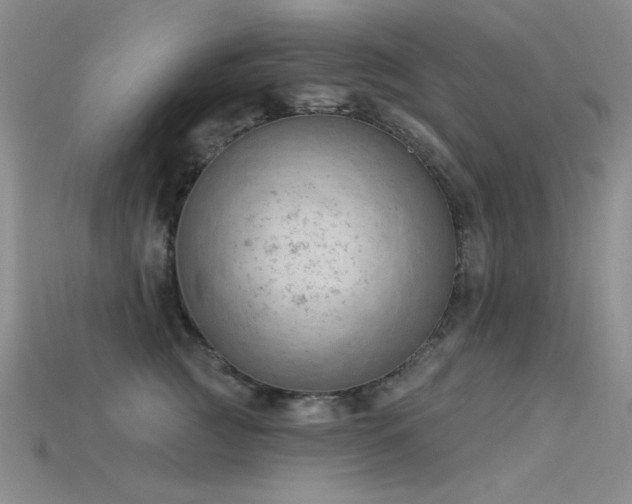 X0000115850761200911131551