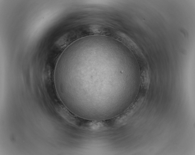 X0000115850762200911131551