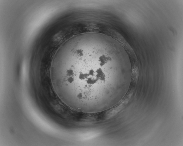 X0000115850765200911131551