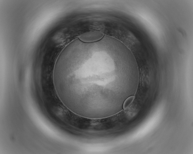 X0000115850766200911131551