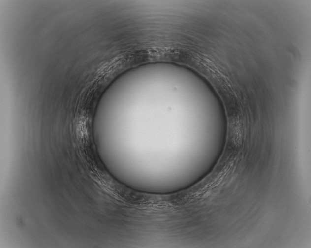 X0000115850770200911131551