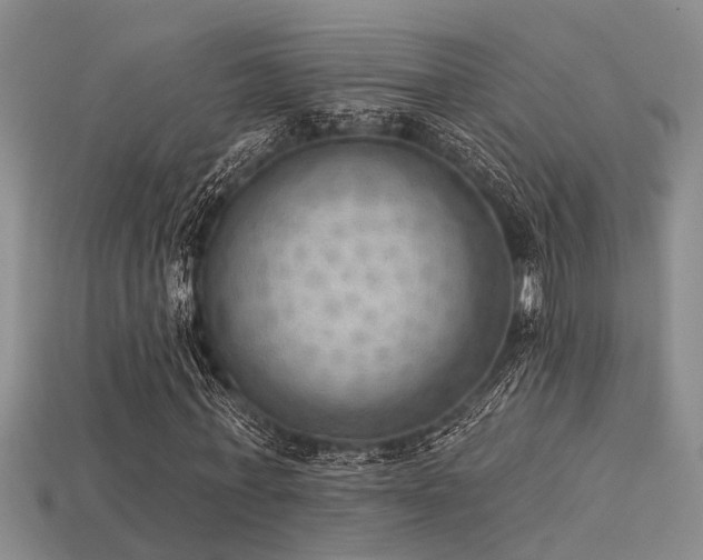 X0000115850771200911131551