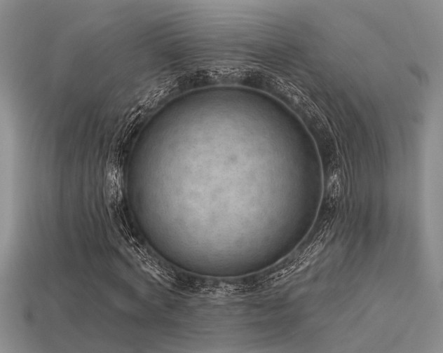 X0000115850772200911131551