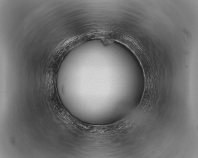 X0000115850773200911131551