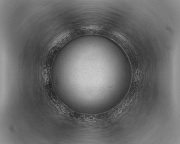 X0000115850774200911131551